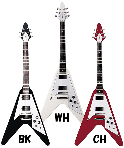 入門用エレキギター,エレキベース,ギター,アコースティックギター