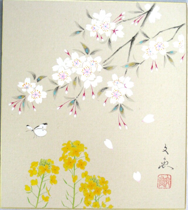 色紙 日本画 桜に菜の花◇中谷文魚 (真筆・新品)