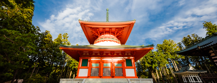 希少）高野町史 民俗編 高野町史編纂委員会 編 高野山 世界遺産 希少