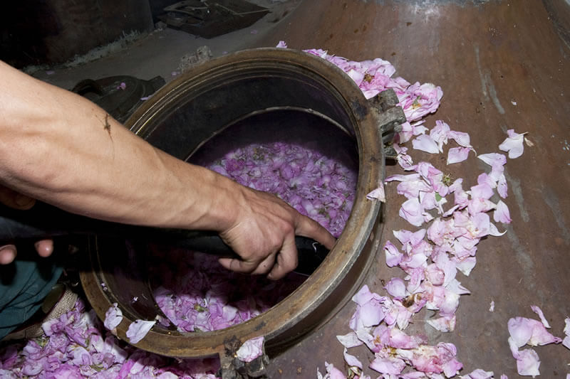 ブルガリア・ダマスク ローズウォーター 【こだわり商品研究所】