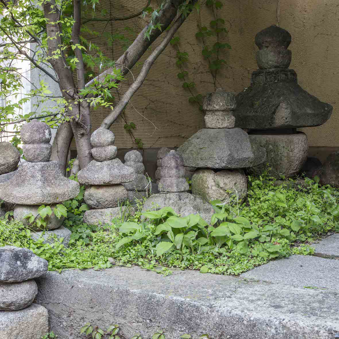 5 目利きへの道 | 骨董入門 高木孝 | ブログ | 工芸青花 kogei-seika