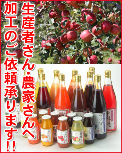 梅エキス[550ml]｜ジュース｜小池手造り農産加工所[公式]オンライン