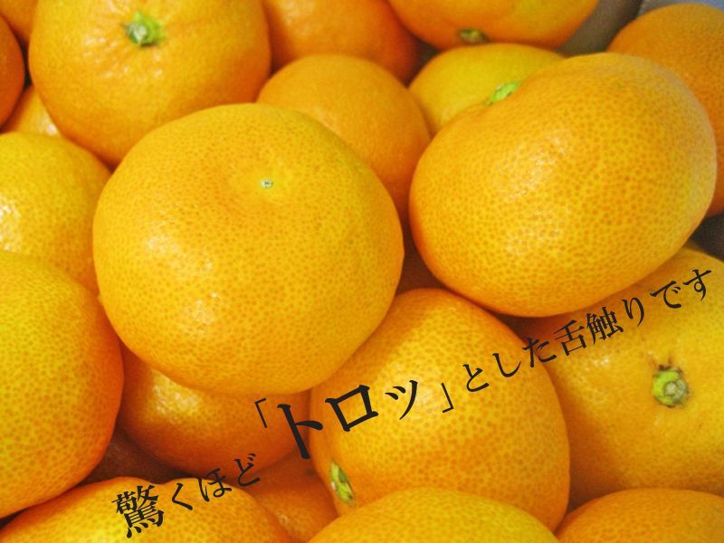 送料無料】みかんジュース[720ml] 完熟100%果汁 12本セット【一本