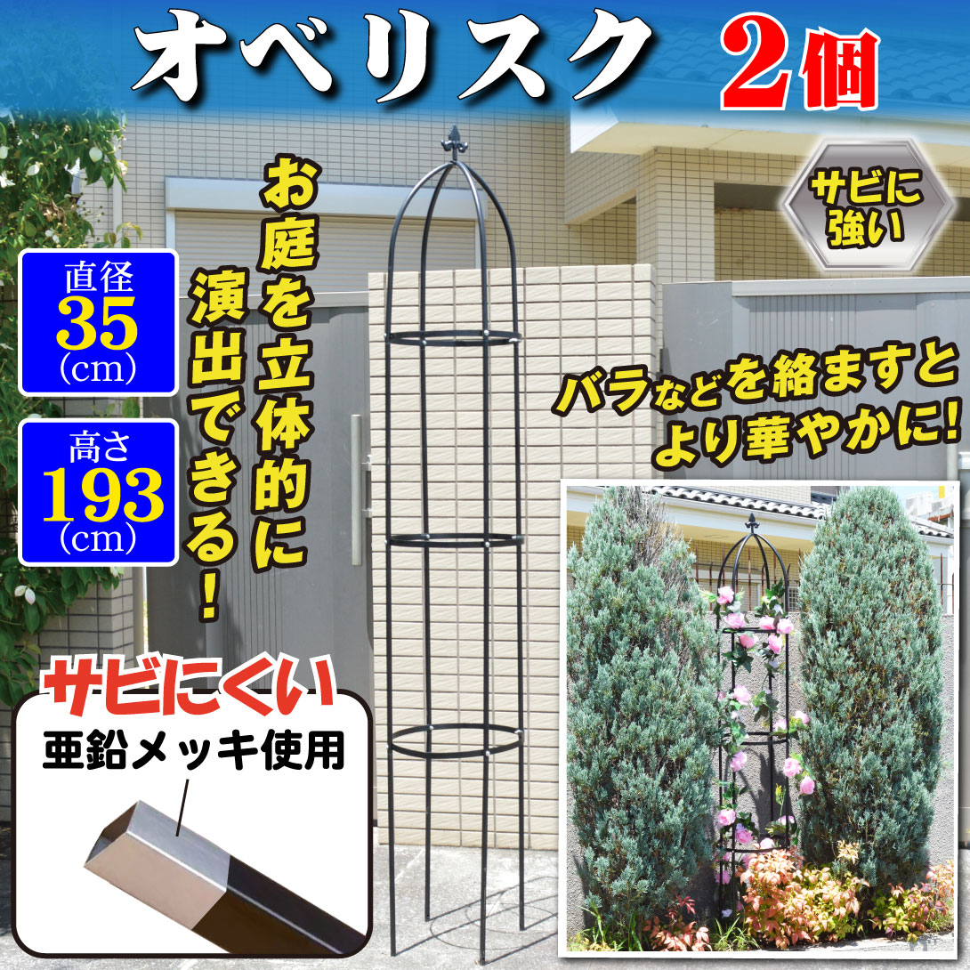 国華園オンラインショップ / オベリスク2個組