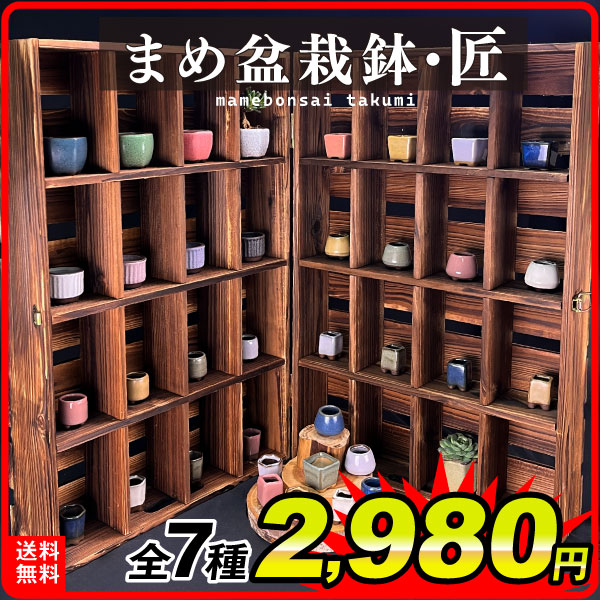 国華園オンラインショップ / まめ盆栽鉢 匠 7種 （1箱4～6個入り