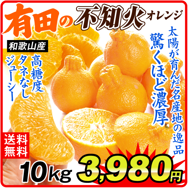 国華園オンラインショップ / みかん 10kg 有田の不知火 不知火