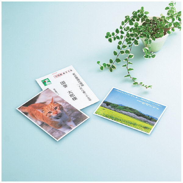 インクジェットプリンタ用紙(光沢紙 染料顔料共用 ハガキ判)70枚