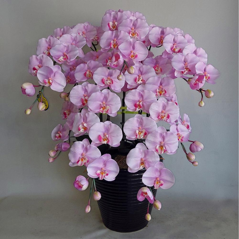 造花 胡蝶蘭 大輪5本立ち うすピンク の通販 | ホームセンター コメリ
