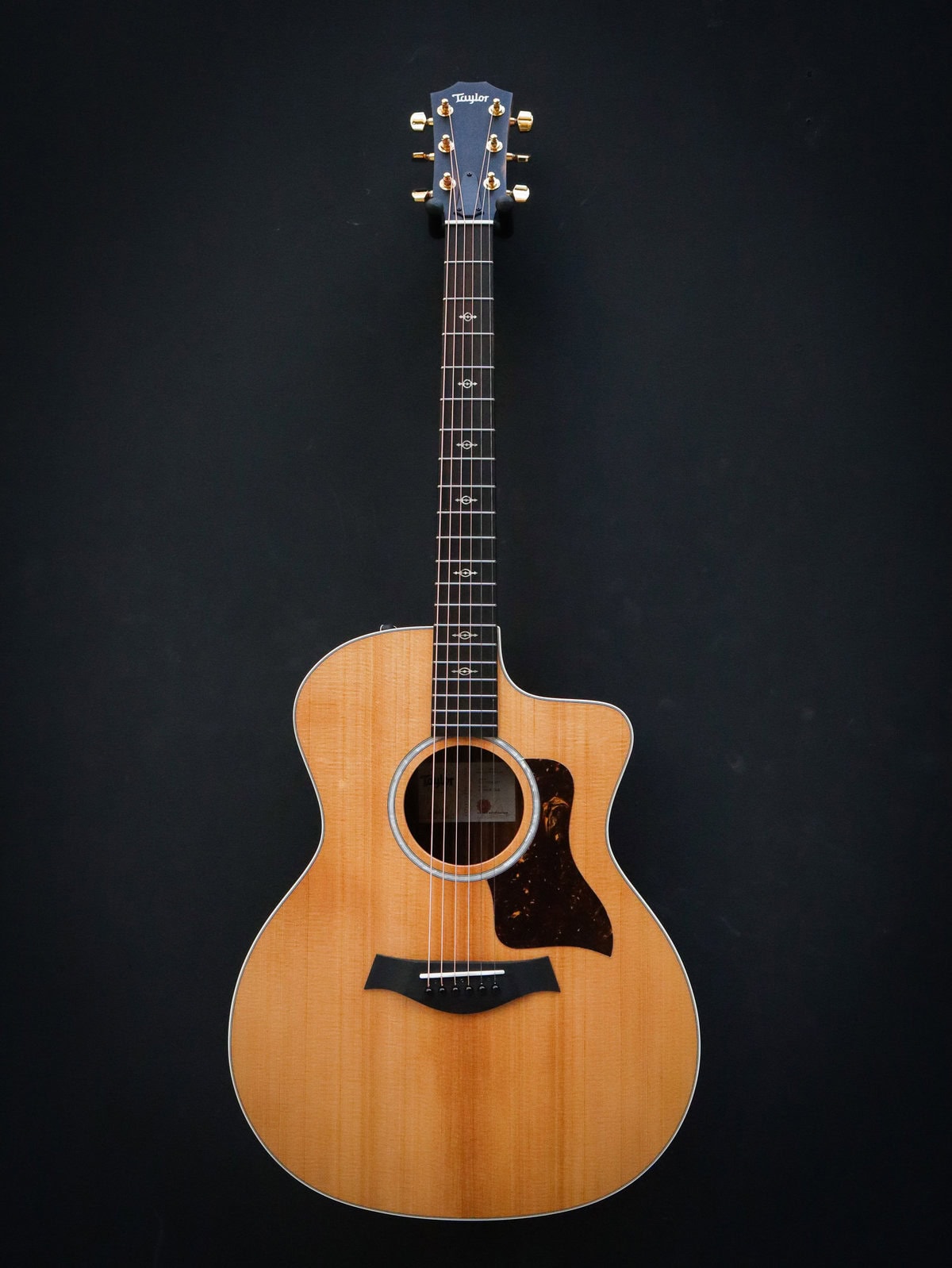 Taylor 214ce-K DLX - Kauffmann's Guitar Store