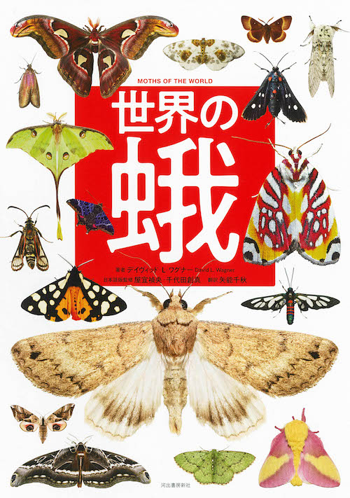 世界の蛾 :デイヴィッド・L・ワグナー,屋宜 禎央,千代田 創真,矢能