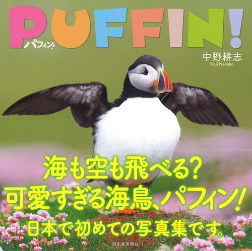 パフィン！ :中野 耕志 | 河出書房新社