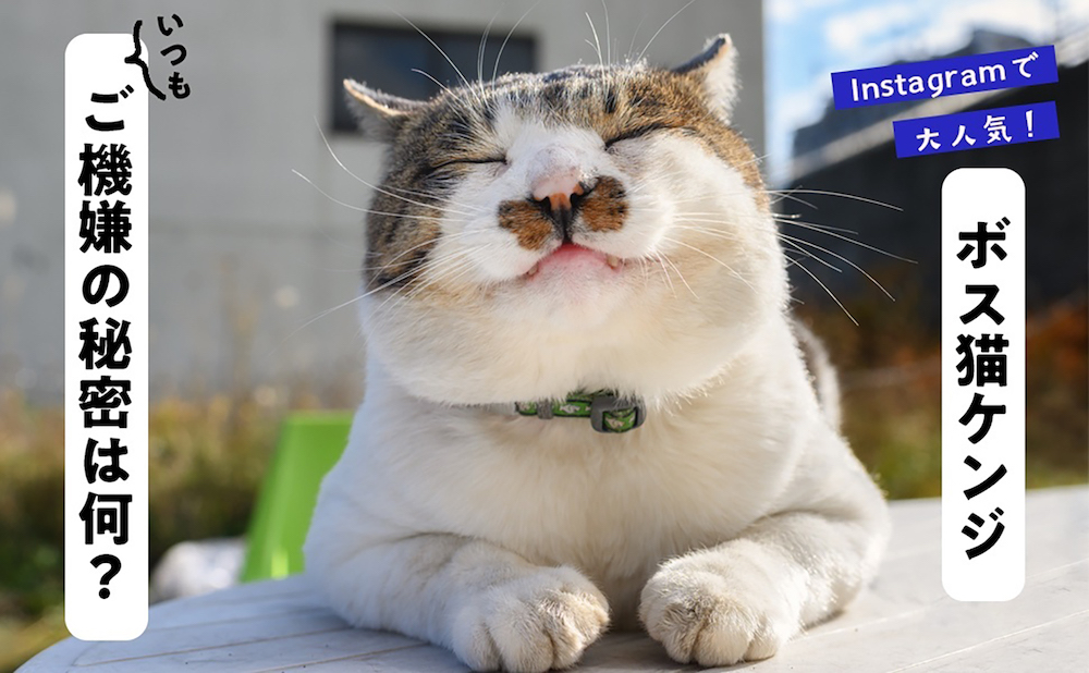 みんなケンジでご機嫌だべや :土肥 美帆 | 河出書房新社