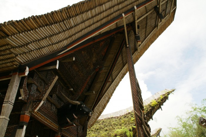 山奥に暮らす海の民？トラジャ族 | ツアー関連情報 他のエリアを見る