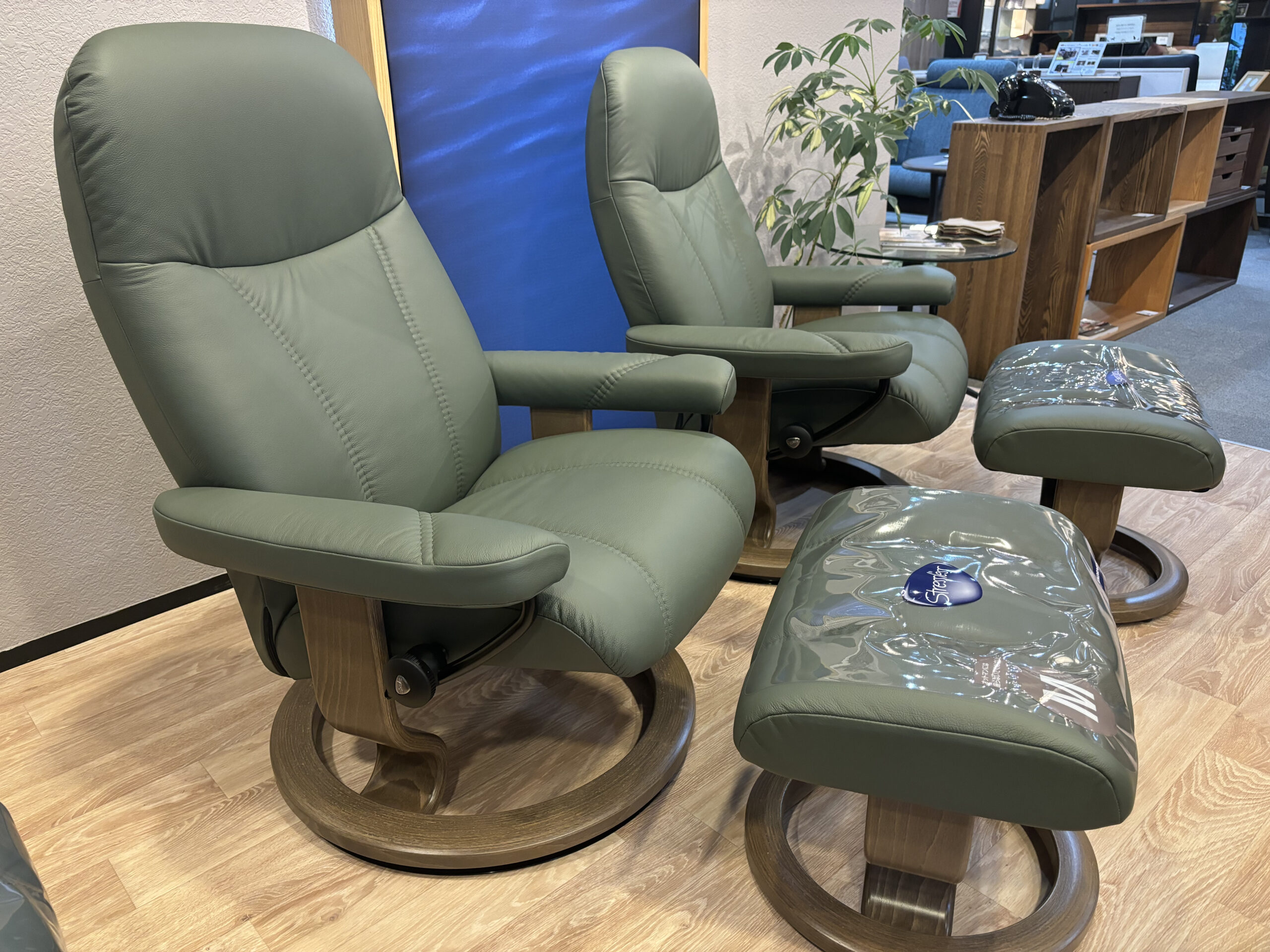 ストレスレス コンサル クラシック限定カラー Sサイズ＋Mサイズ