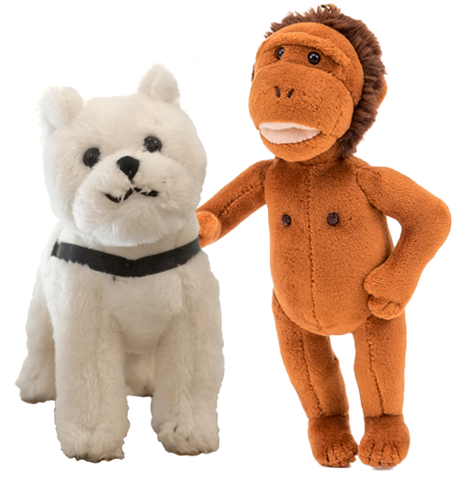 ミュージアムショップ | 国立科学博物館 National Museum of Nature