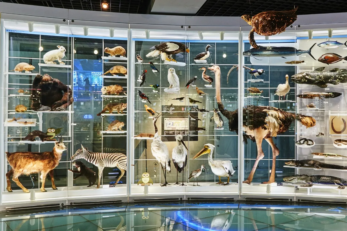 展示 TOP | 国立科学博物館 National Museum of Nature and Science,Tokyo