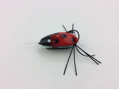 ゲンゴロウ Gengorou／カハラジャパン