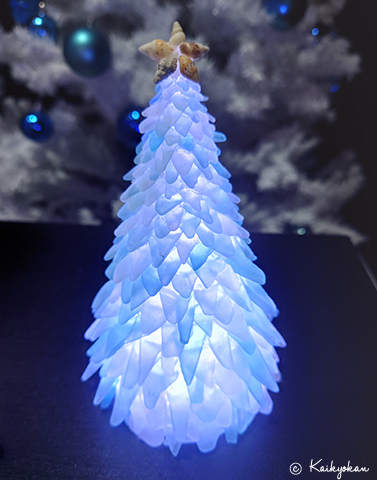 ゴミのツリー？ | 市立しものせき水族館｢海響館｣ 公益財団法人下関海洋