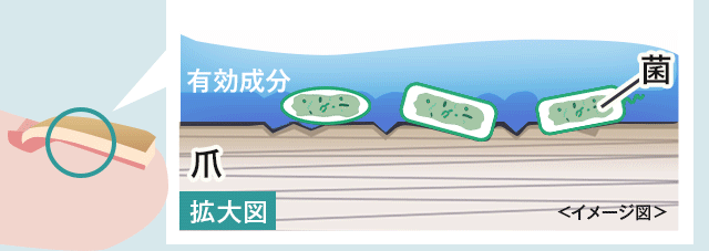 北の快適工房｜『クリアストロングショット アルファ』