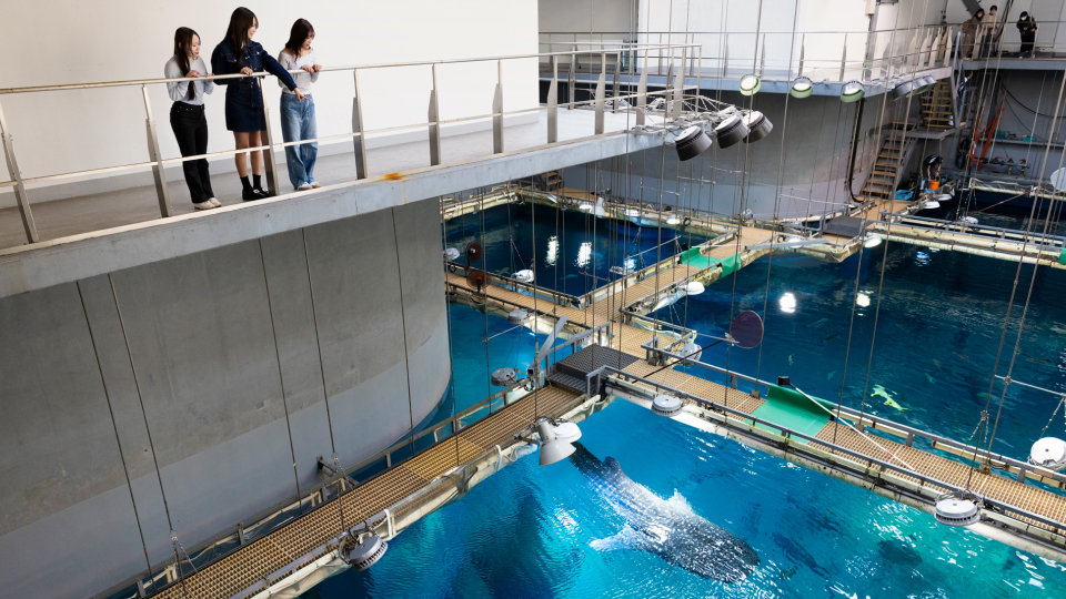 ツアー・体験 | 海遊館