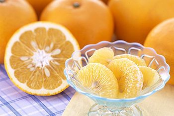 八朔（はっさく） | みかん大事典 | みかんのことなら「のま果樹園