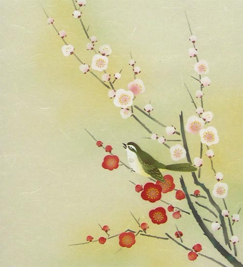 掛け軸 紅白梅に鶯 （南川康夫） 送料無料 【掛軸】【半間床】【冬