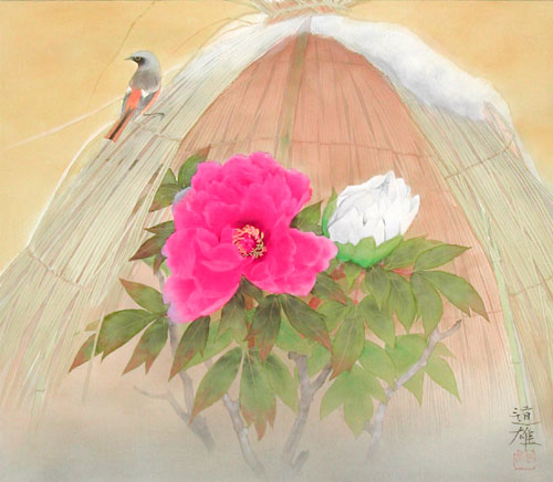 掛け軸 寒牡丹 (梅津道雄) 送料無料 【掛軸】【一間床】【丈の短い掛軸