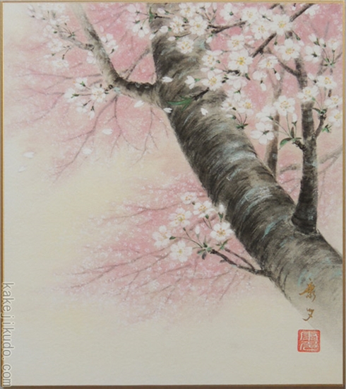 高級色紙「桜」康多（色紙絵）送料無料 商品詳細 掛け軸の販売・絵画の