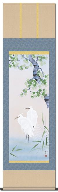 楓に白鷺 長江桂舟 尺五 （夏） 日本製 夏 - 掛け軸（掛軸）販売通販