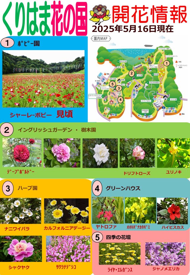 公園だより｜横須賀市 くりはま花の国