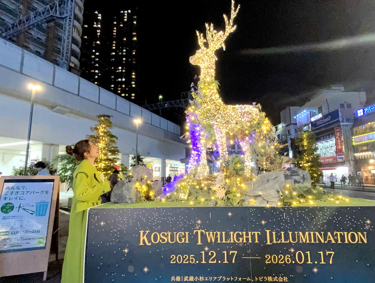 武蔵小杉駅前の公園でイルミ点灯 トナカイ模したオブジェ、金色に輝き