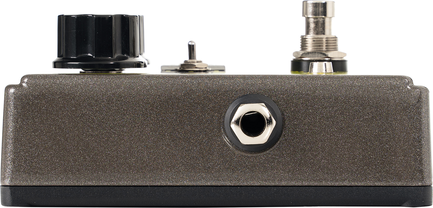 Overdrive Preamp 250 50th Anniversary | DigiTech | 取扱いブランド