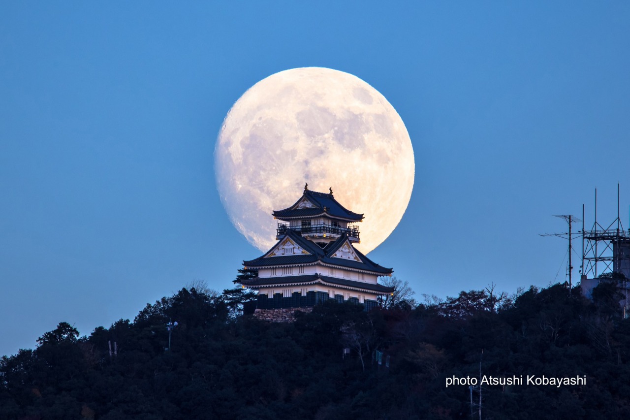 岐阜城｜観光スポット｜岐阜県観光公式サイト 「岐阜の旅ガイド」