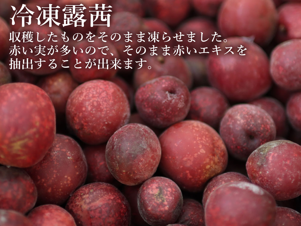 露茜（つゆあかね）赤い梅酒・梅シロップが出来る梅