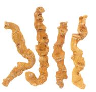 竹節人参（ちくせつにんじん）：漢方薬、生薬の通信販売は中屋彦十郎薬局