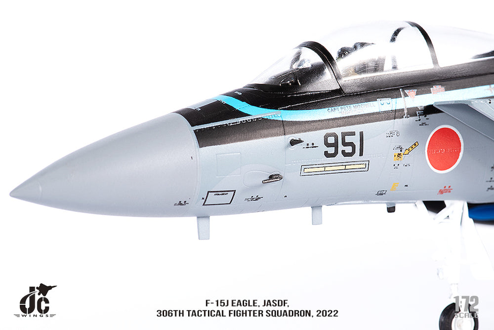 Mitsubishi F-15J Eagle JASDF - 306th Tactical Fighter Squadron