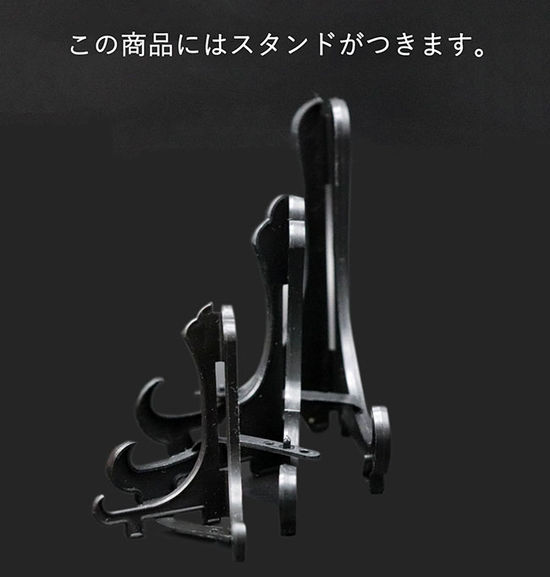 北海道の白亜紀後期の地層から採集された、力強い肋模様を持つ