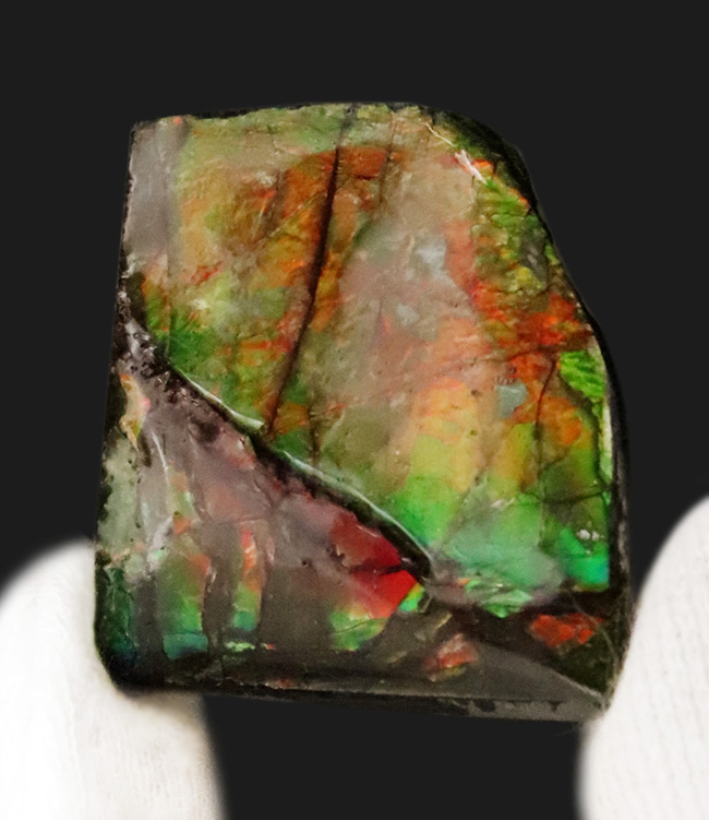 ミクロな遊色層が生み出す極彩色の世界……カナダ・アルバータ州の公式の