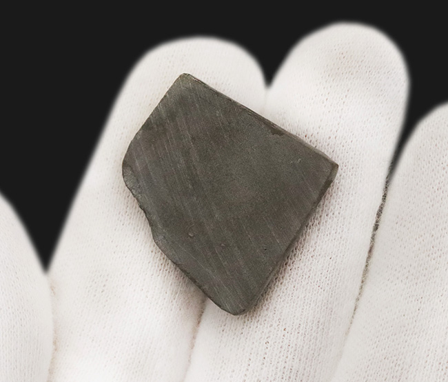 ミクロな遊色層が生み出す極彩色の世界……カナダ・アルバータ州の公式の