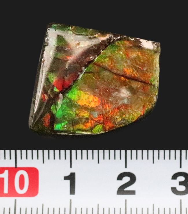 ミクロな遊色層が生み出す極彩色の世界……カナダ・アルバータ州の公式の