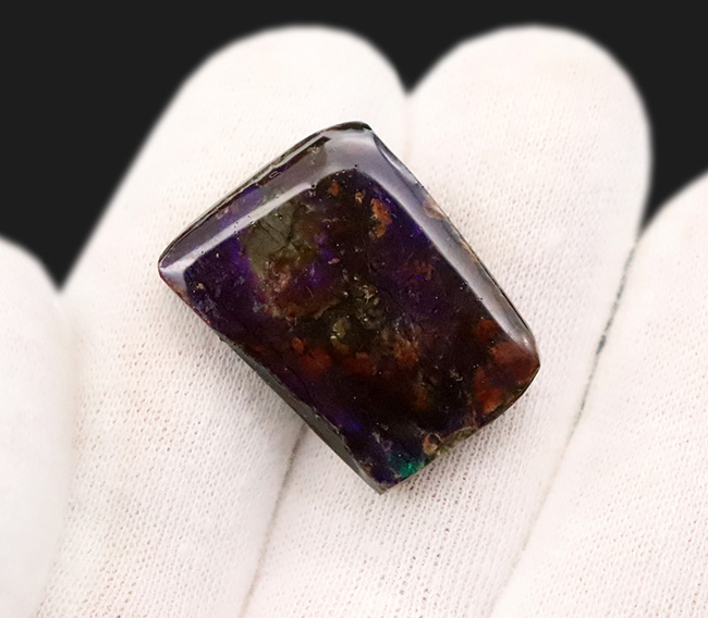 希少な寒色系の輝きを放つ、アンモライト（Ammolite）のピース