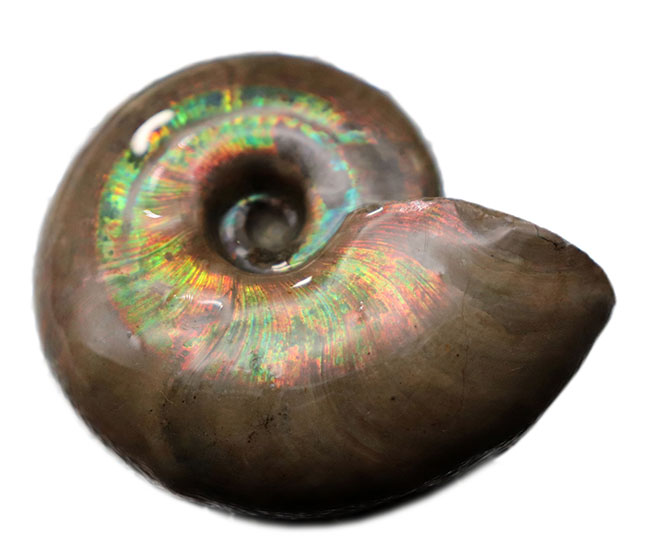 多色彩、丸くてスムース、そして大きい！マダガスカルの遊色