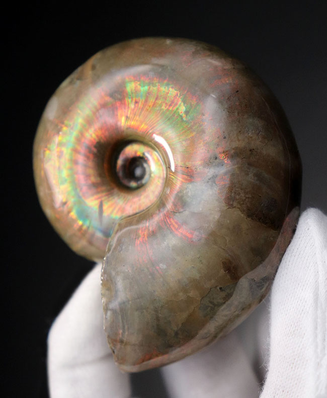 多色彩、丸くてスムース、そして大きい！マダガスカルの遊色