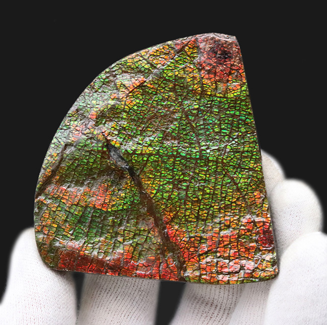 グレートワン！最高レベルの「ドラゴンスキン」を堪能できる宝石