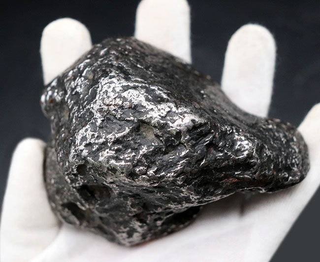 人智を超えた途方も無く長い旅を経て貴方のもとに・・・。なんと945