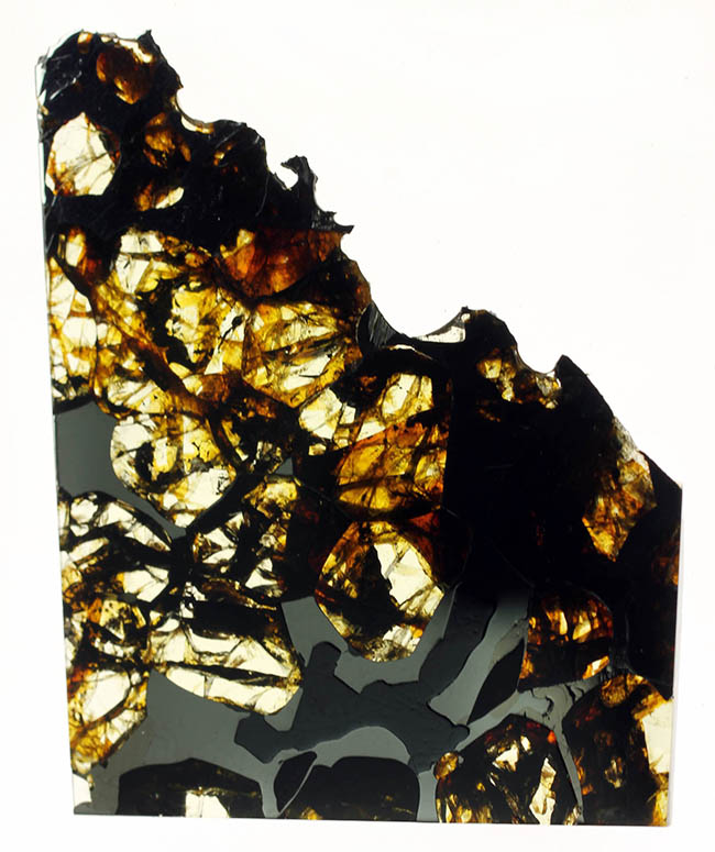 近年注目度が高まっている、ロシア産の石鉄隕石パラサイト