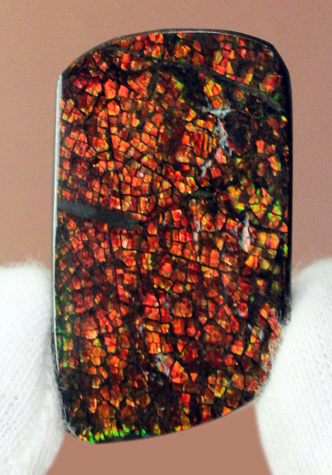 ドラゴンスキン”を楽しめるカナディアン・アンモライトのピース