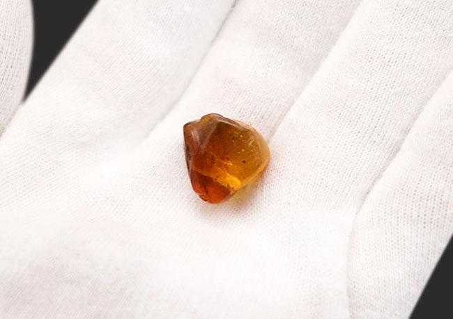 琥珀コレクター必見！驚愕の逸品、およそ1億年前の生物の「羽毛」を