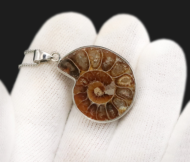 化石ファンのためにあしらわれた、個性的なジュエリー。マダガスカル産