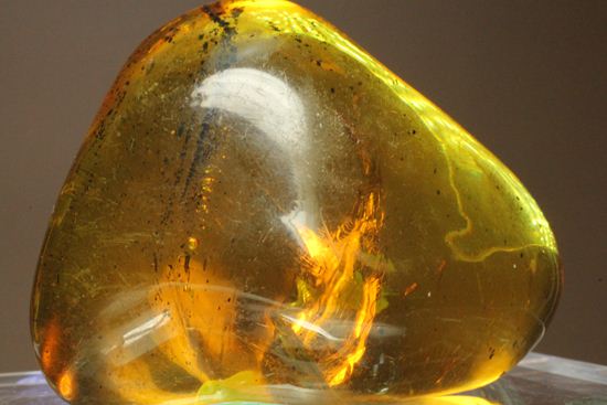 本当にレアです！1．虫入りで2．ナチュラルで3．手のひらサイズの